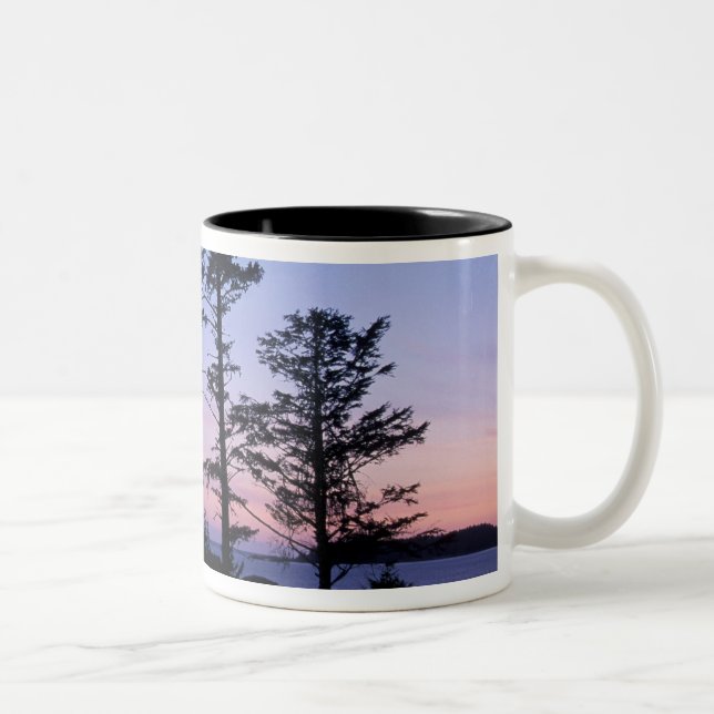 North America, Canada, Vancouver Island, trees Two-Tone Coffee Mug (Right)