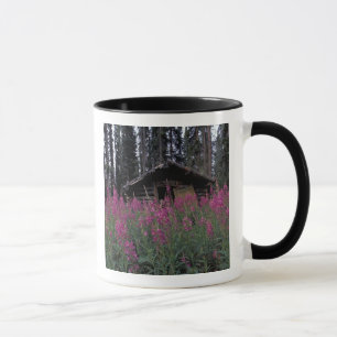North America, Canada, Yukon. Abandoned trappers Mug
