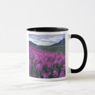 North America, Canada, Yukon. Fireweed blooms Mug
