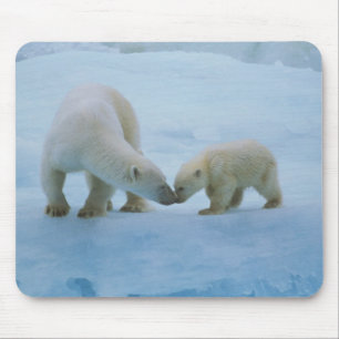 North America, Canadian Arctic. Polar bear Mouse Mat