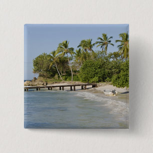 North America, Caribbean, Dominican Republic. 15 Cm Square Badge