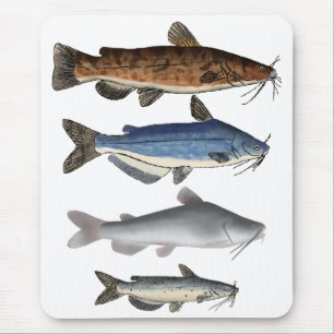 North America Catfish Group Mouse Mat