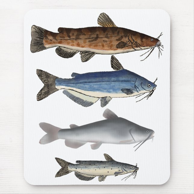 North America Catfish Group Mouse Mat (Front)
