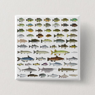 North America Freshwater Fish Group 15 Cm Square Badge