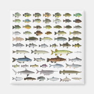 North America Freshwater Fish Group Magnet