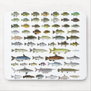North America Freshwater Fish Group Mouse Mat