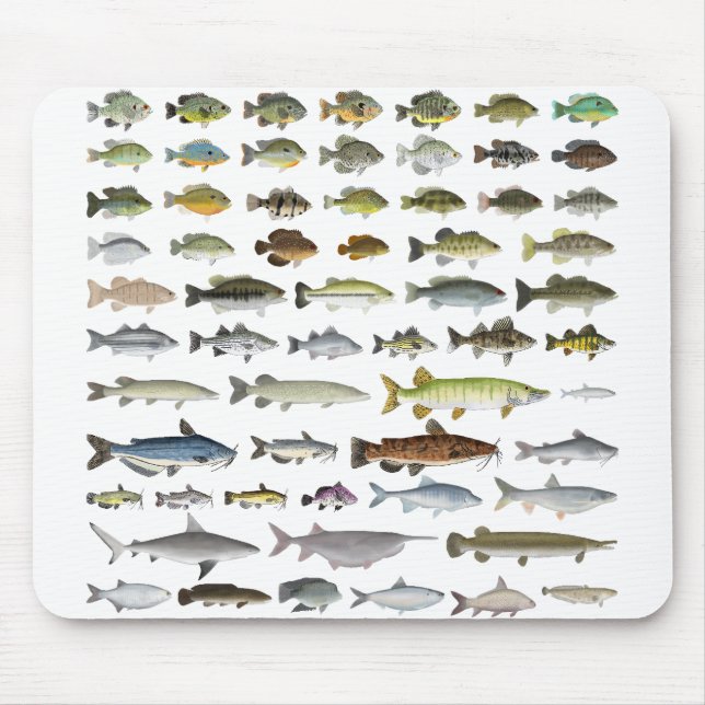 North America Freshwater Fish Group Mouse Mat (Front)