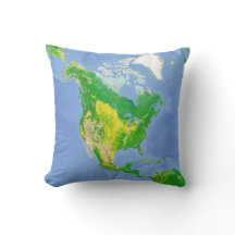 North America Land Use Map Pillow