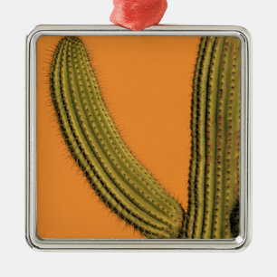 North America, Mexico, Baja California, Cabo Metal Tree Decoration