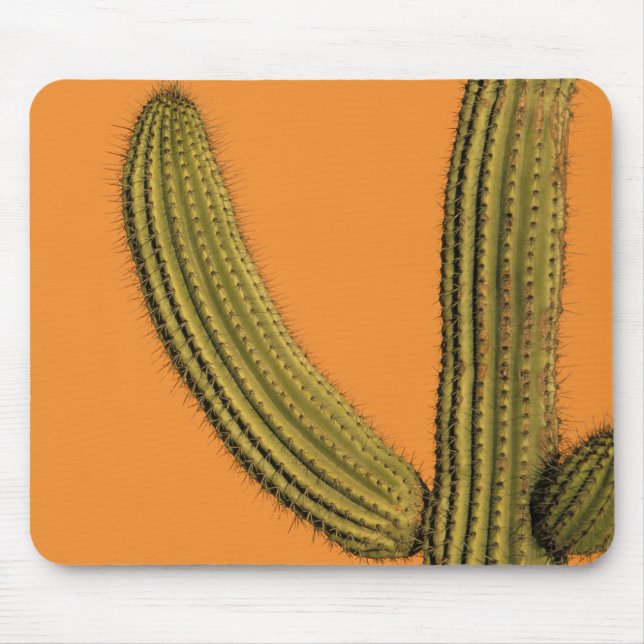 North America, Mexico, Baja California, Cabo Mouse Mat (Front)