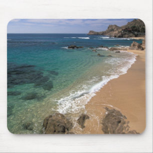 North America, Mexico, Baja California Sur, Mouse Mat