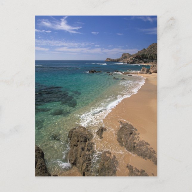 North America, Mexico, Baja California Sur, Postcard (Front)