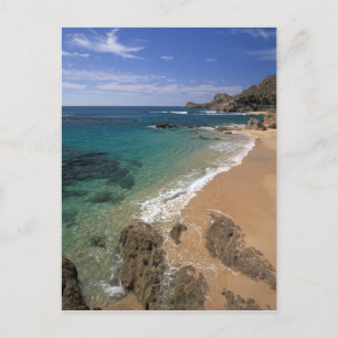 North America, Mexico, Baja California Sur, Postcard