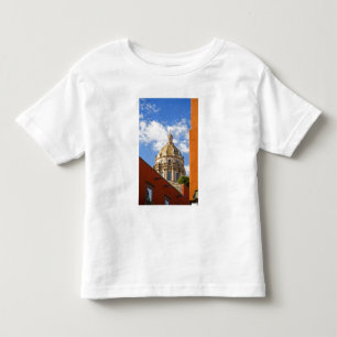 North America, Mexico, Guanajuato state, San 2 Toddler T-Shirt