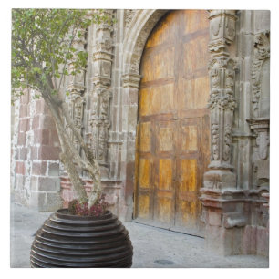 North America, Mexico, Guanajuato state, San 3 Tile