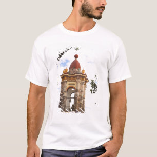 North America, Mexico, Guanajuato state, San 5 T-Shirt