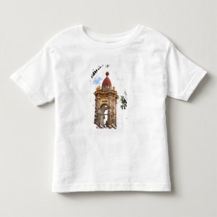 North America, Mexico, Guanajuato state, San 5 Toddler T-Shirt