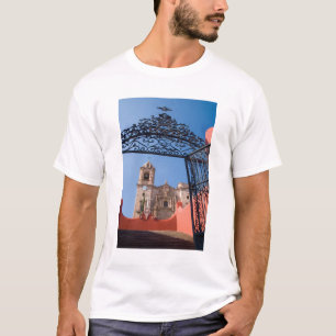 North America, Mexico, Guanajuato State. The T-Shirt