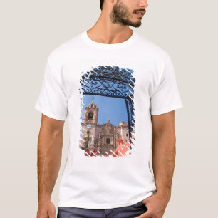 North America, Mexico, Guanajuato State. The T-Shirt