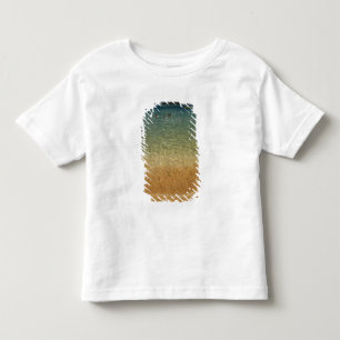 North America, Mexico, State of Guerrero, Ixtapa Toddler T-Shirt
