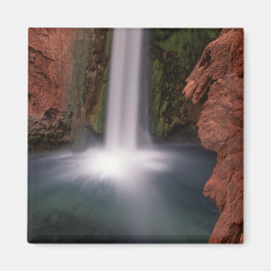 North America, U.S.A., Arizona, Havasu Canyon, Magnet