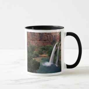 North America, U.S.A., Arizona, Havasu Canyon, Mug