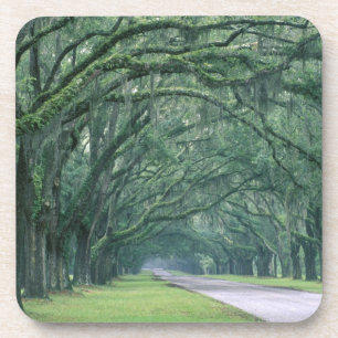 North America, U.S.A., Georgia, Savannah, Coaster