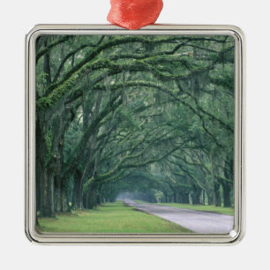 North America, U.S.A., Georgia, Savannah, Metal Tree Decoration