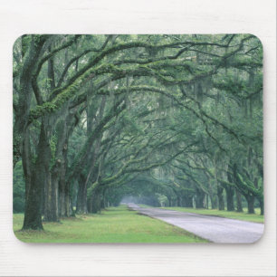 North America, U.S.A., Georgia, Savannah, Mouse Mat