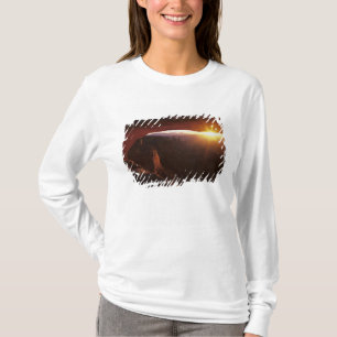 North America, U.S.A., Utah, Canyonlands T-Shirt