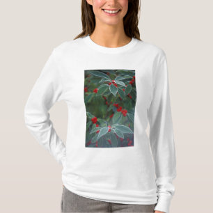 North America, United States, New England. Holly T-Shirt
