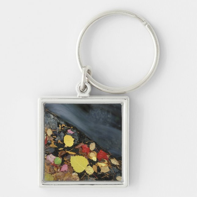North America, US, ME, A stream in fall. Key Ring (Front)