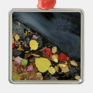 North America, US, ME, A stream in fall. Metal Tree Decoration