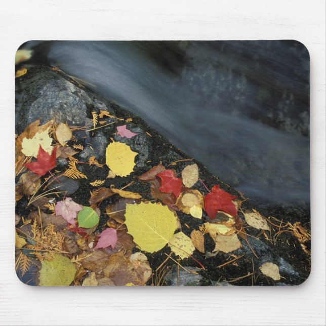 North America, US, ME, A stream in fall. Mouse Mat (Front)