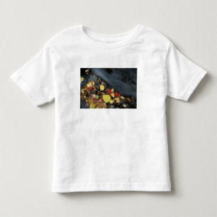 North America, US, ME, A stream in fall. Toddler T-Shirt