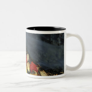 North America, US, ME, A stream in fall. Two-Tone Coffee Mug