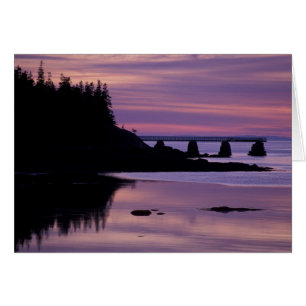 North America, US, ME, Isle Au Haut. Duck