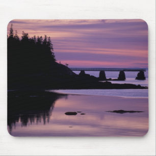 North America, US, ME, Isle Au Haut. Duck Mouse Mat
