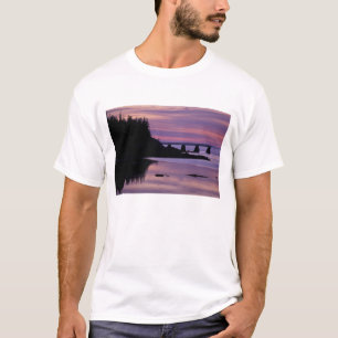 North America, US, ME, Isle Au Haut. Duck T-Shirt