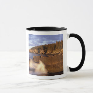 North America, US, ME, The rocky Maine coast. Mug