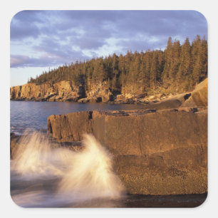 North America, US, ME, The rocky Maine coast. Square Sticker