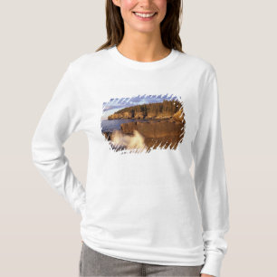 North America, US, ME, The rocky Maine coast. T-Shirt