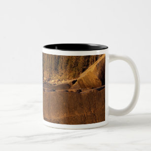 North America, US, ME, The rocky Maine coast. Two-Tone Coffee Mug
