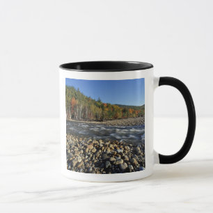 North America, US, NH, A cobble beach on the Mug