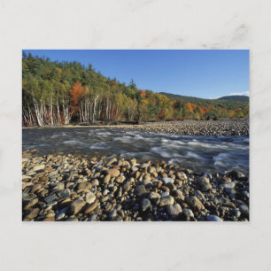 North America, US, NH, A cobble beach on the Postcard