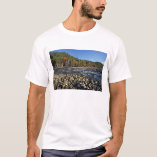 North America, US, NH, A cobble beach on the T-Shirt