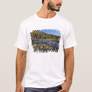 North America, US, NH, A cobble beach on the T-Shirt