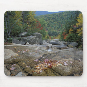 North America, US, NH, Fall foliage in New Mouse Mat