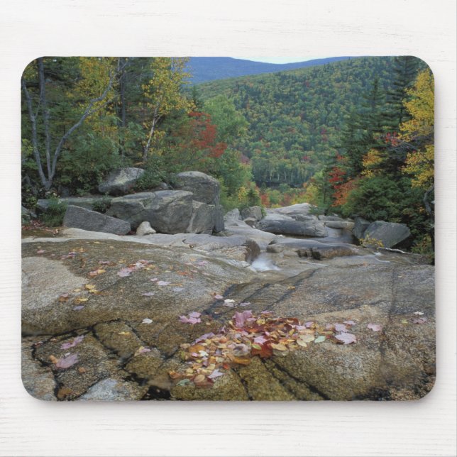 North America, US, NH, Fall foliage in New Mouse Mat (Front)