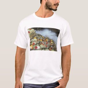 North America, US, NH, Fall in New England. T-Shirt
